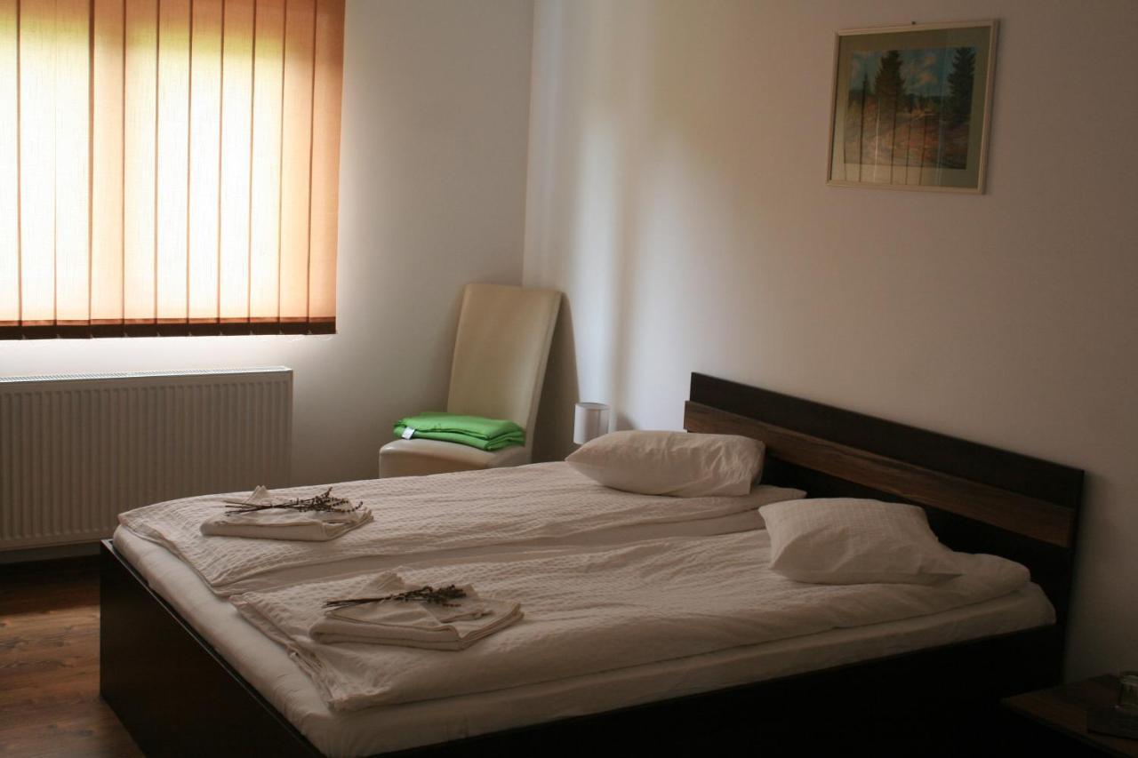 Bed and Breakfast Aranykakas étterem és panzió à Sîndominic Extérieur photo