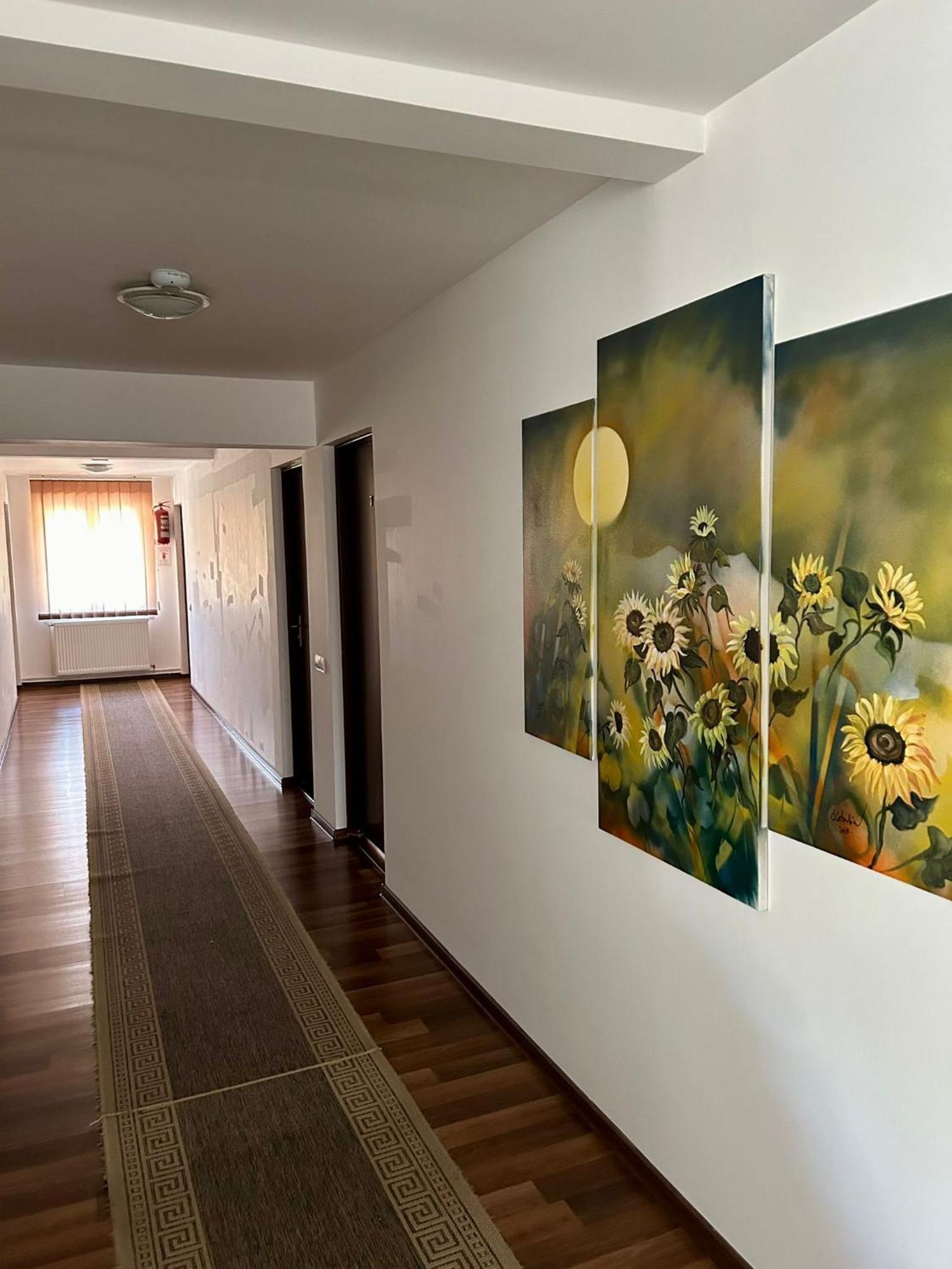 Bed and Breakfast Aranykakas étterem és panzió à Sîndominic Extérieur photo